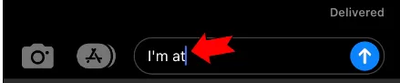 type the text type the text